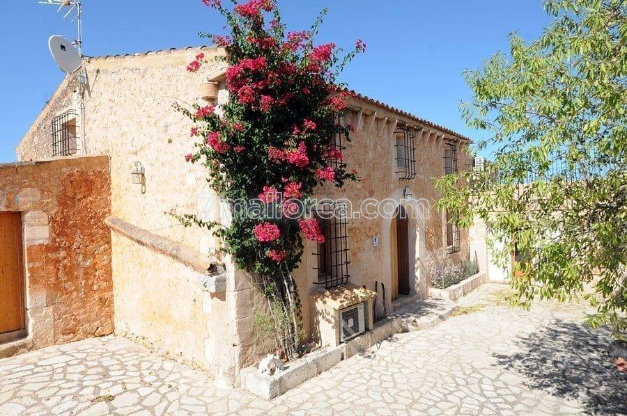 Finca Mascaro - 1