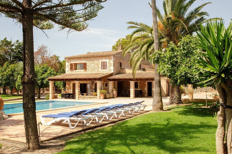 Finca Tomas - 1